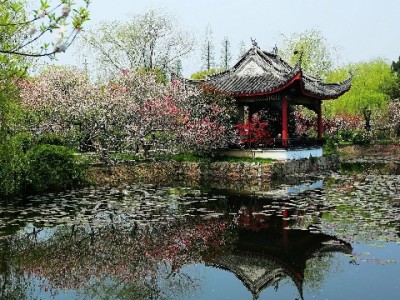 微信有类似花呗借呗的功能吗？分付、微粒贷与第三方服务全解析