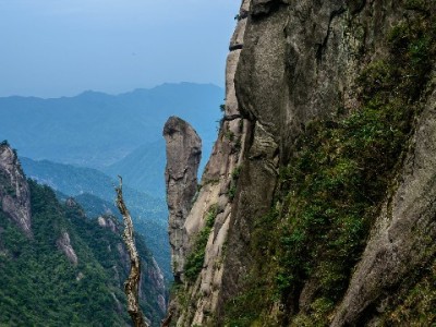 花呗分期付商家钱咋操作？安出掌柜助你理清全流程