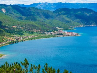 花呗临时周转需谨慎！"出财小神"揭秘合规代付背后的风险与选择