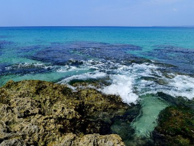 商家抖音月付实操攻略：从开通到提效，“出财小神”来助力