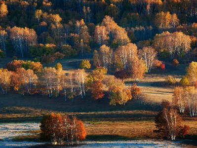 花呗被套用风险频发！安出掌柜三招护好你的信用防线