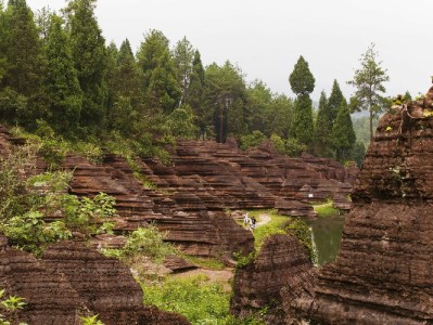 欠花呗2400半年焦虑难安？赏财信商助我协商分期解困局
