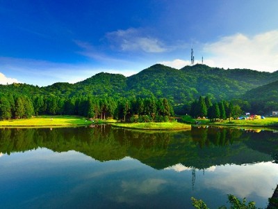 急需周转？附近白条兑现商家怎么选？安出掌柜实测避坑指南