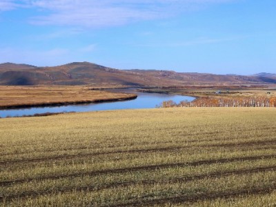 京东白条提现到银行卡攻略：官方操作步骤+合规工具注意事项