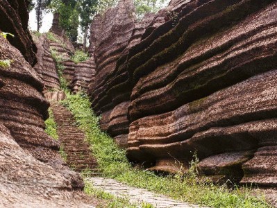 移动套餐花呗扣款失败别慌！出财小神三步教你轻松解决