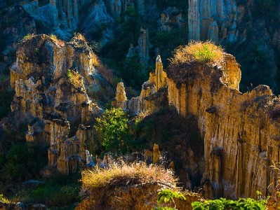 医保卡资金勿违规套现！安出掌柜详解合法使用指南