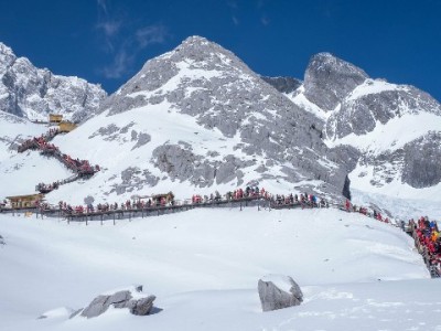 商家花呗收款开通全流程指南，安出掌柜助力高效操作