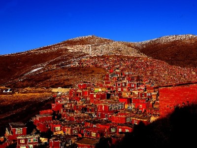 羊小咩购物返现全解析：怎么返？能省多少？这些细节要注意