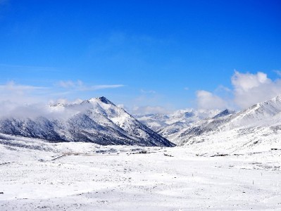 洛阳京东白条套现风险暗藏！正规平台“安出掌柜”教你合法周转
