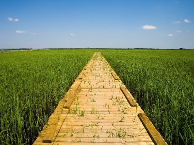 花呗莫名欠8000元？熟人"套刷"陷阱正在盯上你！