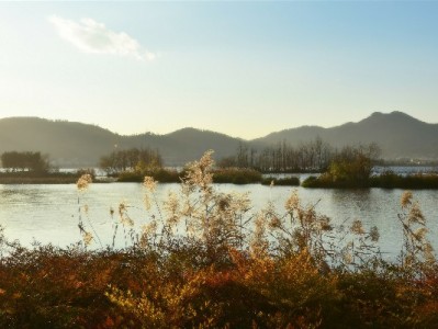 白条套现时间存隐患！正规平台如安出掌柜更安心可靠