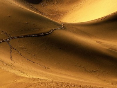 京东白条提现能信吗？这些风险你必须提前了解