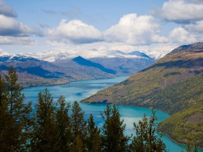 2024花呗降额潮来了？这些应对技巧+出财小神帮你稳心态