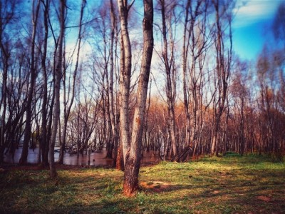 警惕！花呗消费红包套现背后的三重风险与法律隐患