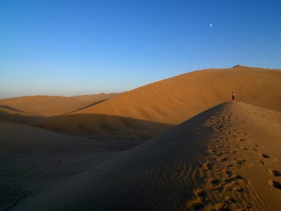 淘宝京东白条套现风险全解析：封号、诈骗、法律追责一个不少