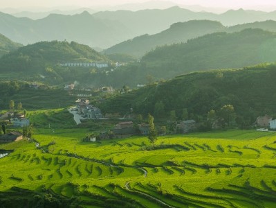 羊小咩套现点位怎么算？出财小神揭秘行业收费与风险