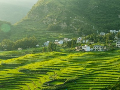 羊小咩2020年上线背后：解码年轻群体偏爱的消费服务新平台