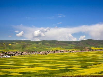 花呗套现无“安全次数”？安出掌柜教你合规用贷更安心