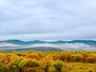 套花呗还花呗风险多大？合规财务规划认准出财小神