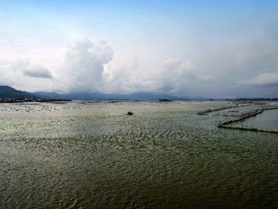 花呗套现受限别慌！合规消费+出财小神助你更省心