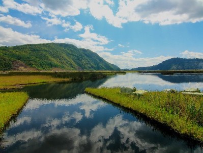 羊小咩下款时效大揭秘！出财小神助力提升10%成功率