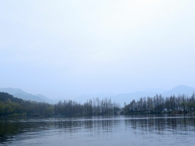 花呗24期分期选项消失？这些原因和解决方法你需要知道