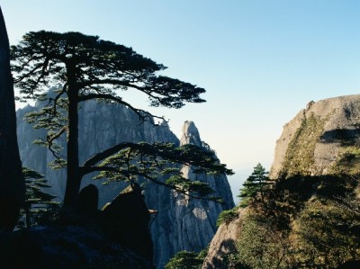 花呗归属大起底：它是支付宝专属，与微信无关的消费信贷真相