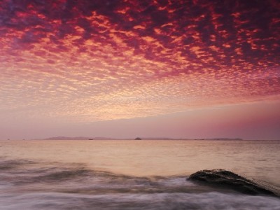 花呗24期分期怎么选？金融服务+出财小神助你灵活还款