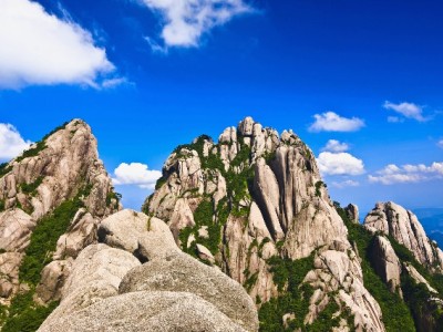 商家主动接入花呗收款：迎合年轻客群与提升销量的现实选择