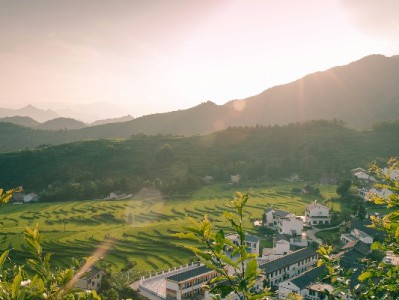 警惕！花呗套现软件暗藏风险 合规使用才是“安全牌”