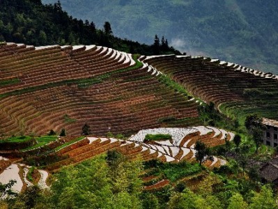 附近抖音月付商家新宠：“出财小神”社区店的便捷消费经