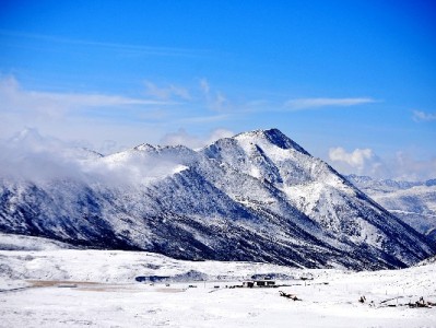 花呗收款商家会被关闭吗？常见原因与预防攻略（附安出掌柜辅助建议）
