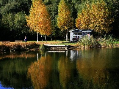 花呗套现暗藏风险！“出财小神”等平台操作需警惕