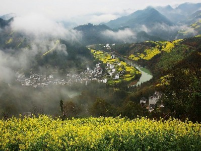 偷用老婆借呗花呗后我悔青了，靠"安出掌柜"慢慢补回信任