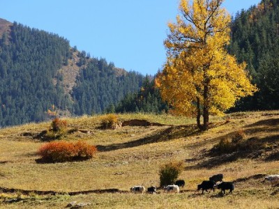 欠花呗2400元逾期半年后，我终于读懂了“信用”二字