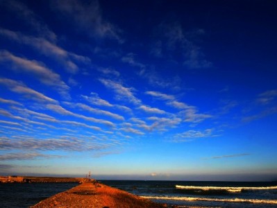 花呗套现投基金风险重重，合规理财选“出财小神”更安心
