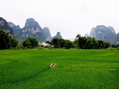 花呗还款别冒险！出财小神详解套现风险与合法应对方案