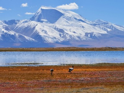 2022花呗使用避坑指南：“出财小神”助你告别违规套现