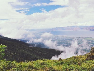 东台烟火里的花呗智慧：安出掌柜教你巧理信用账单