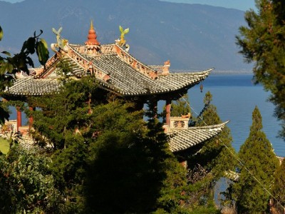 白条全额提现难？出财小神教你安全合规操作攻略