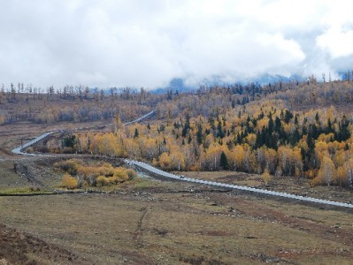 商家花呗收款未到账？4大原因+3步解决攻略速看