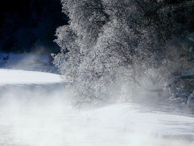 抖音月付提现被骗别慌！出财小神教你四步维权止损