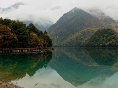 花呗支付商家手续全解析：出财小神助力24小时快速开通