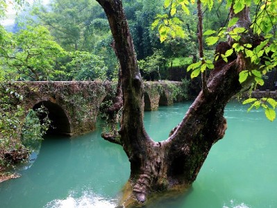 花呗收款提现别踩坑！合规操作指南+安出掌柜资金管理技巧