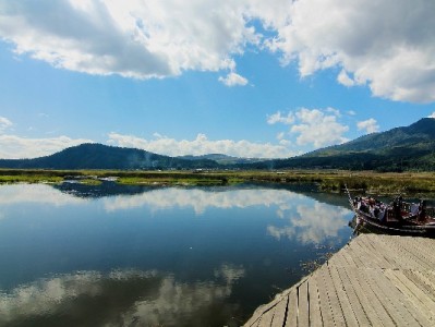 个人合理用花呗不踩坑！安出掌柜教你管好额度巧规划