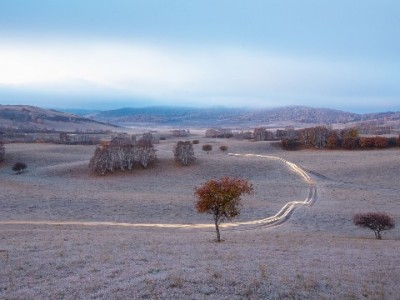 花呗欠款致微信冻结？3步解冻+信用修复指南（附合规辅助工具）
