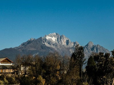 花呗套1000元暗藏风险！正规平台如富信掌柜更安心