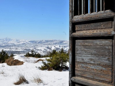 闲鱼羊小咩额度利用攻略：出财小神助你合规操作指南