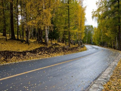 商家花呗额度设置有技巧？出财小神三步搞定风险与体验平衡