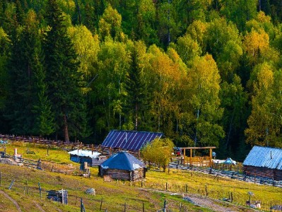 找电动车店套花呗可行吗？这些风险与正规替代方案需知道